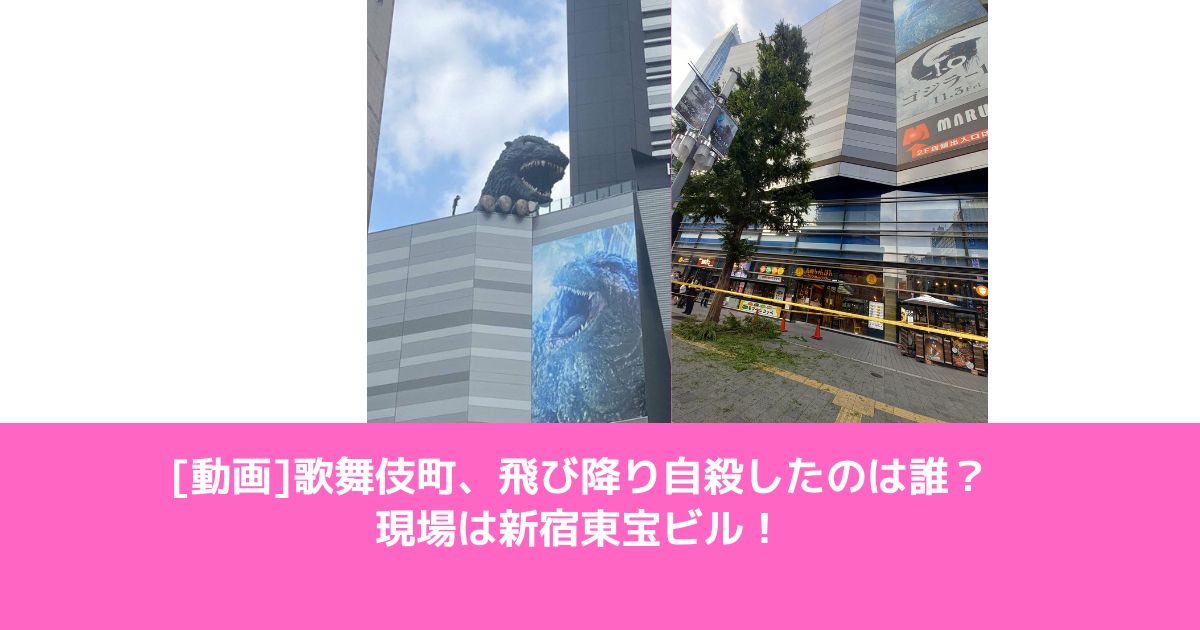 [動画]歌舞伎町、飛び降り自殺したのは誰？現場は新宿東宝ビル！